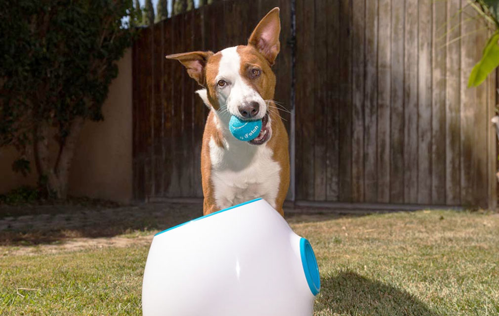 New high tech pet products